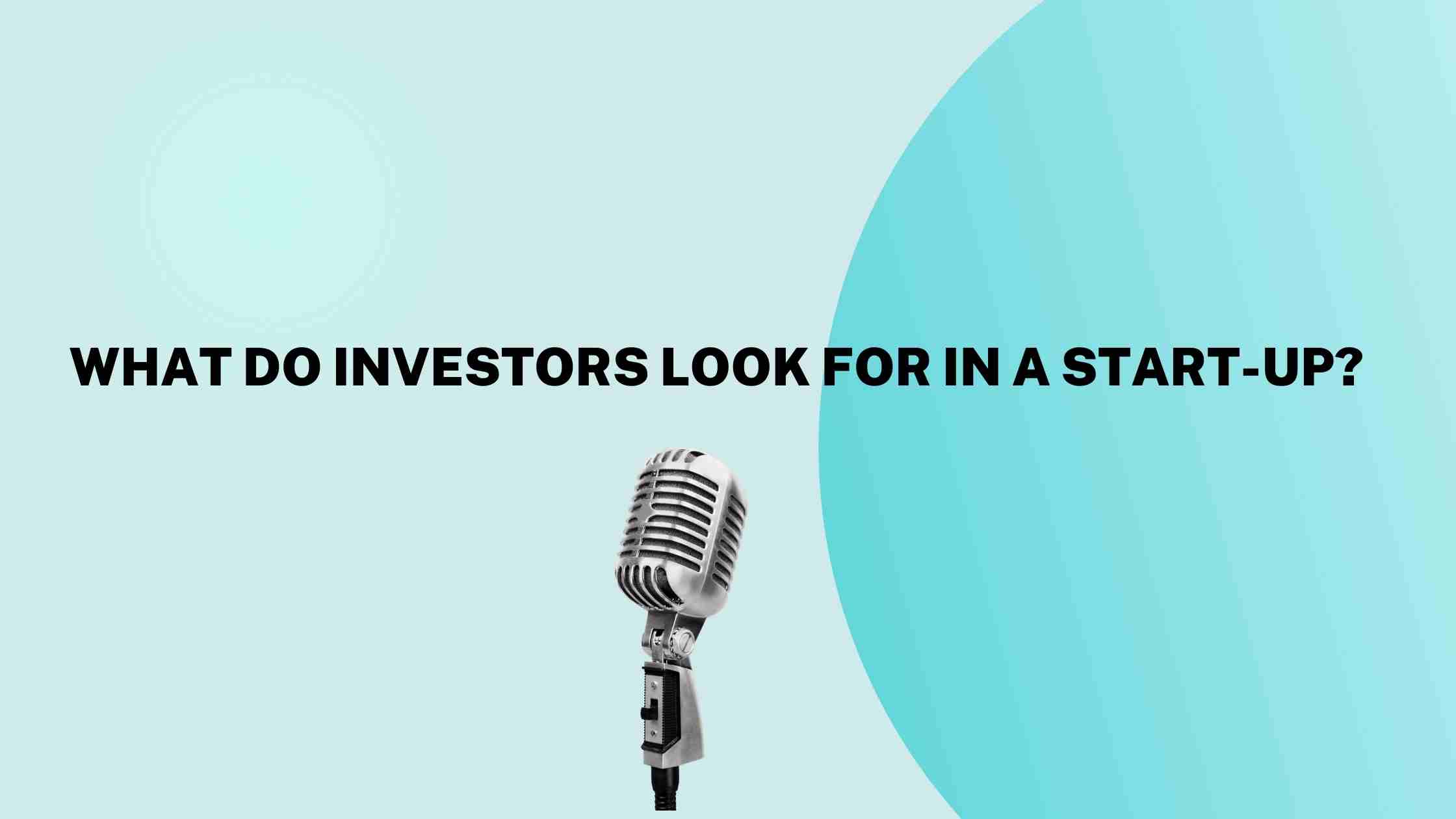 what do investors look for in a start-up banner